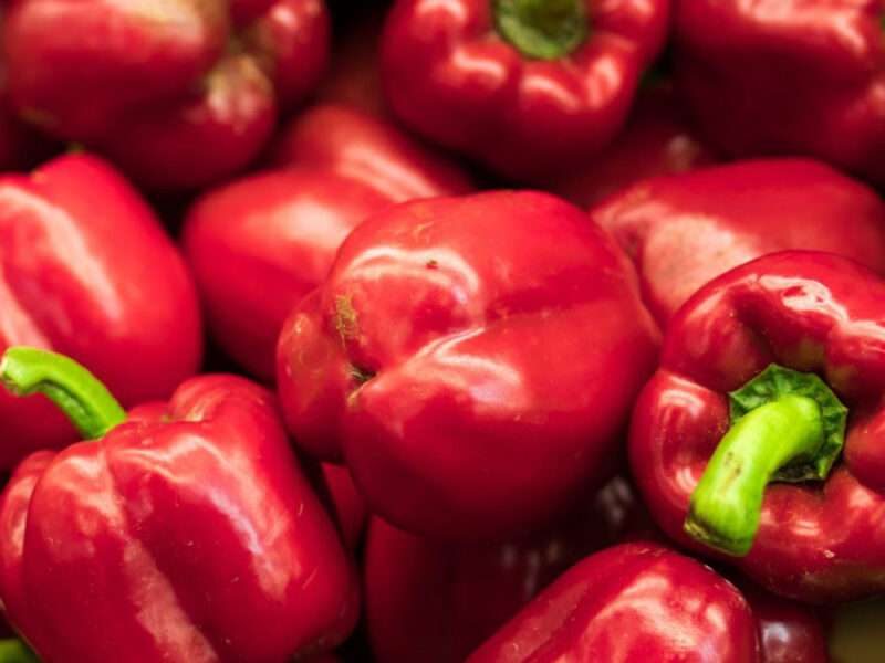 capsicum