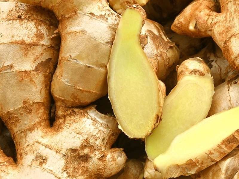 ginger
